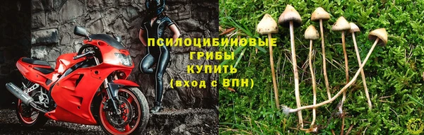 прущие крисы Иннополис