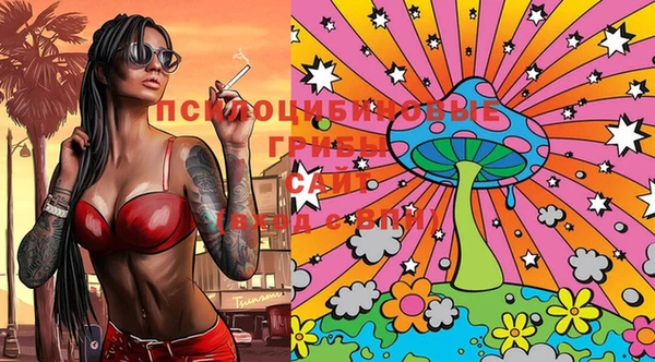 прущие крисы Иннополис