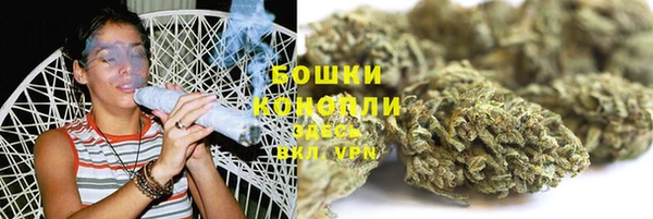 тгк Инта