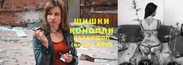 амф Инсар