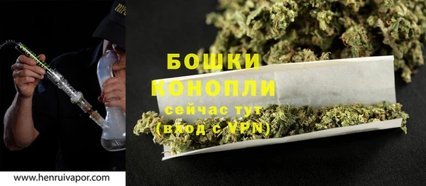 амф Инсар